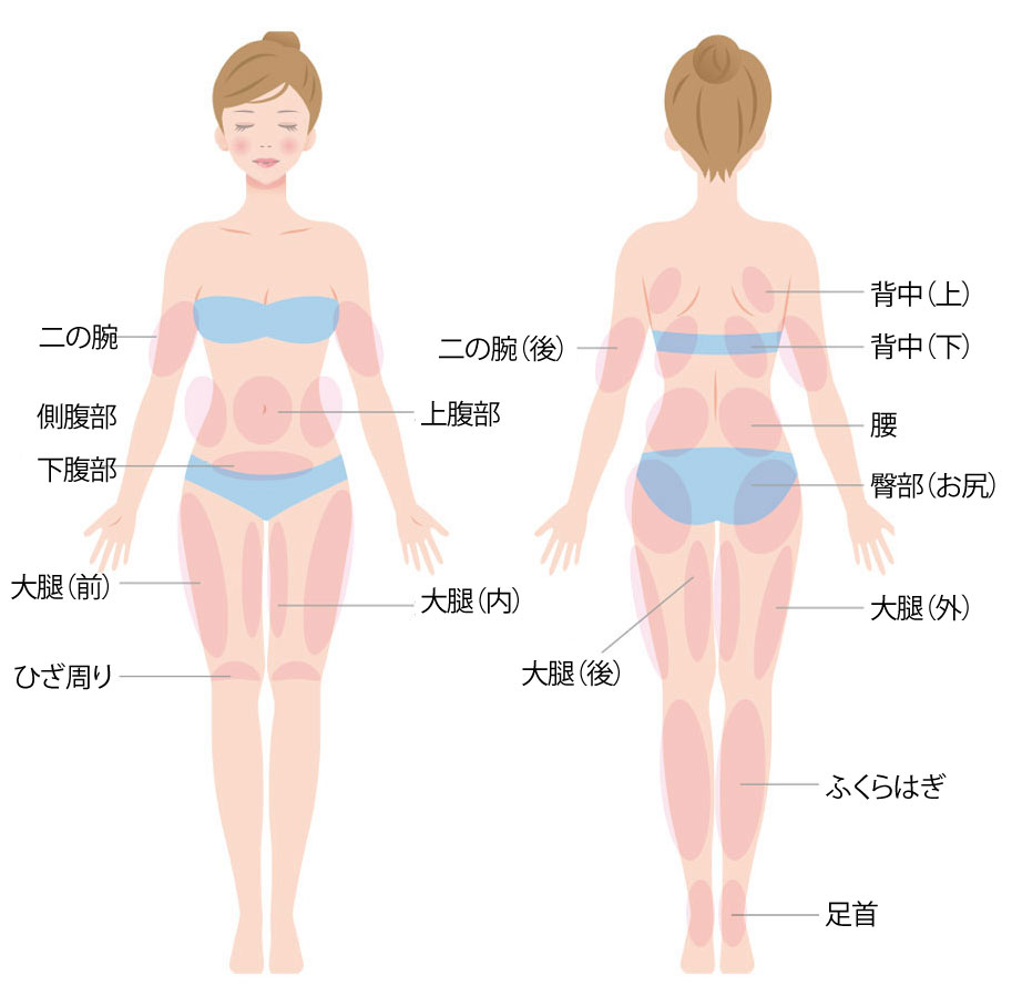 脂肪溶解注射を行える体の部位